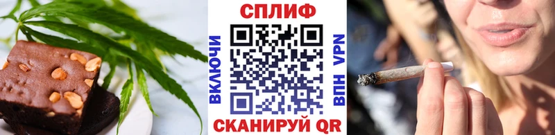 где найти   Прохладный  Canna-Cookies конопля 