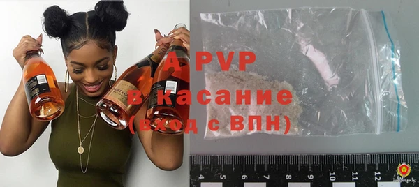 apvp Верея