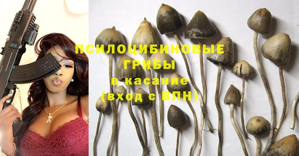 герыч Сафоново