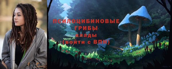 apvp Верея